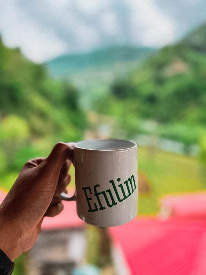 Efulim Apart Çamlıhemşin Exteriér fotografie